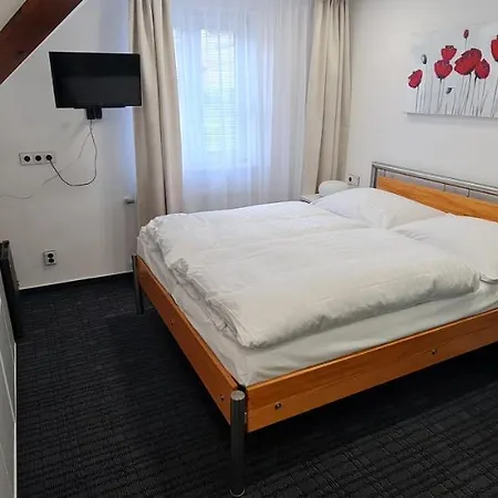Guest house Grand Vltavin 3*