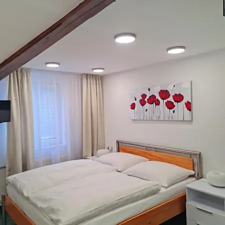Гостевой дом Grand Vltavin 3*