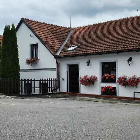 Pensionat Grand Vltavín 3*