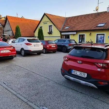 Pensionat Grand Vltavín 3*