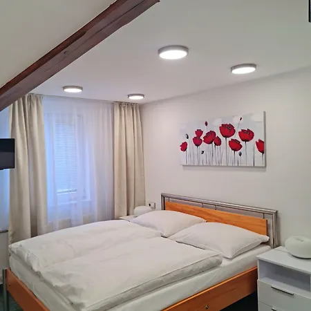 Grand Vltavin Gasthuis 3*