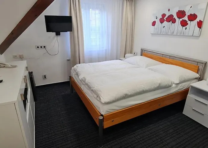 Casa de hóspedes Vltavín 3*