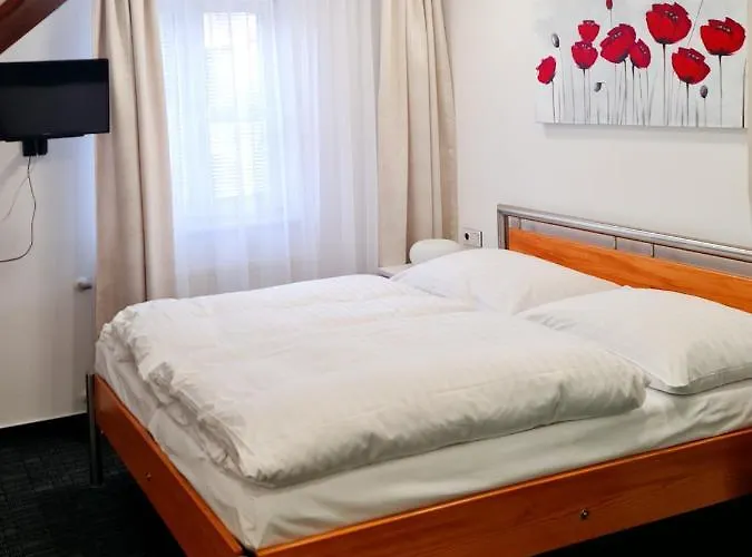 Casa de hóspedes Vltavín 3*