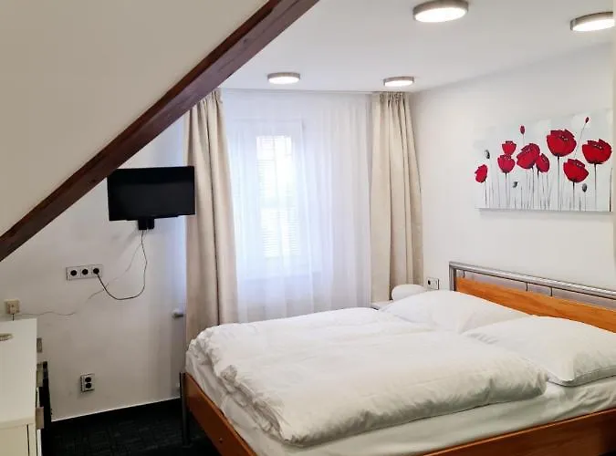 Vltavín Český Krumlov