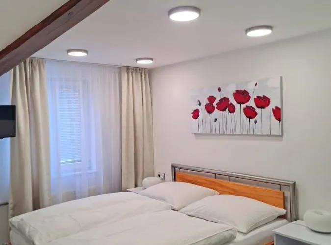 Casa de hóspedes Vltavín 3*