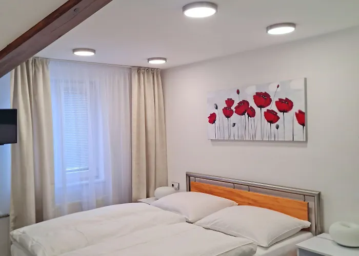 Vltavín Casa de hóspedes 3*